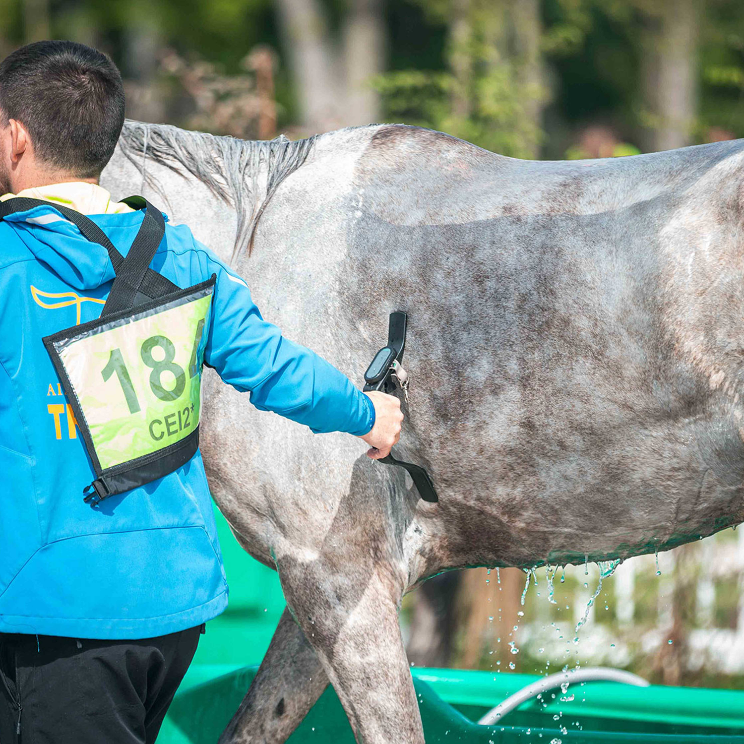 Horse Care & Strapping