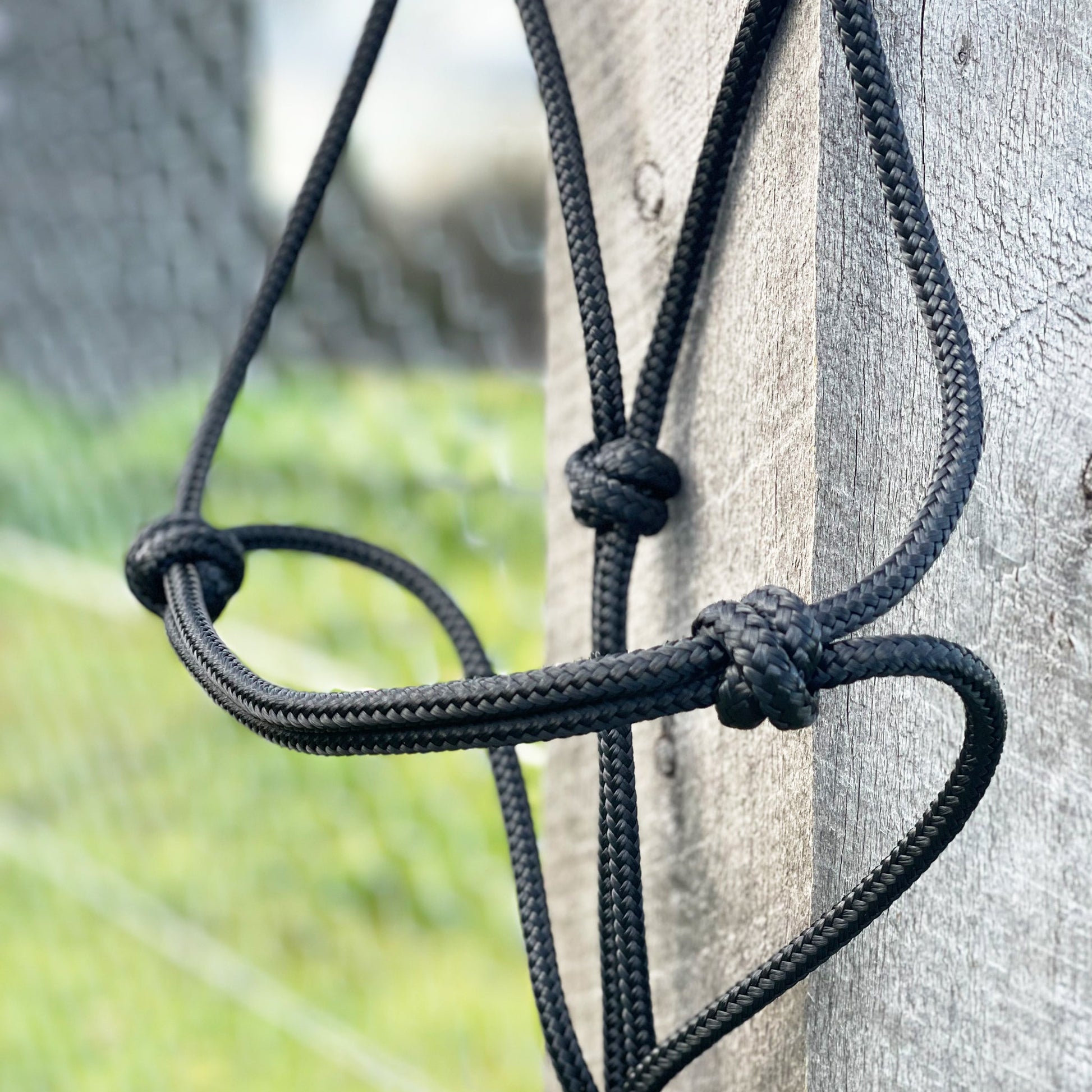 Insync standard 7mm rope halter - 5