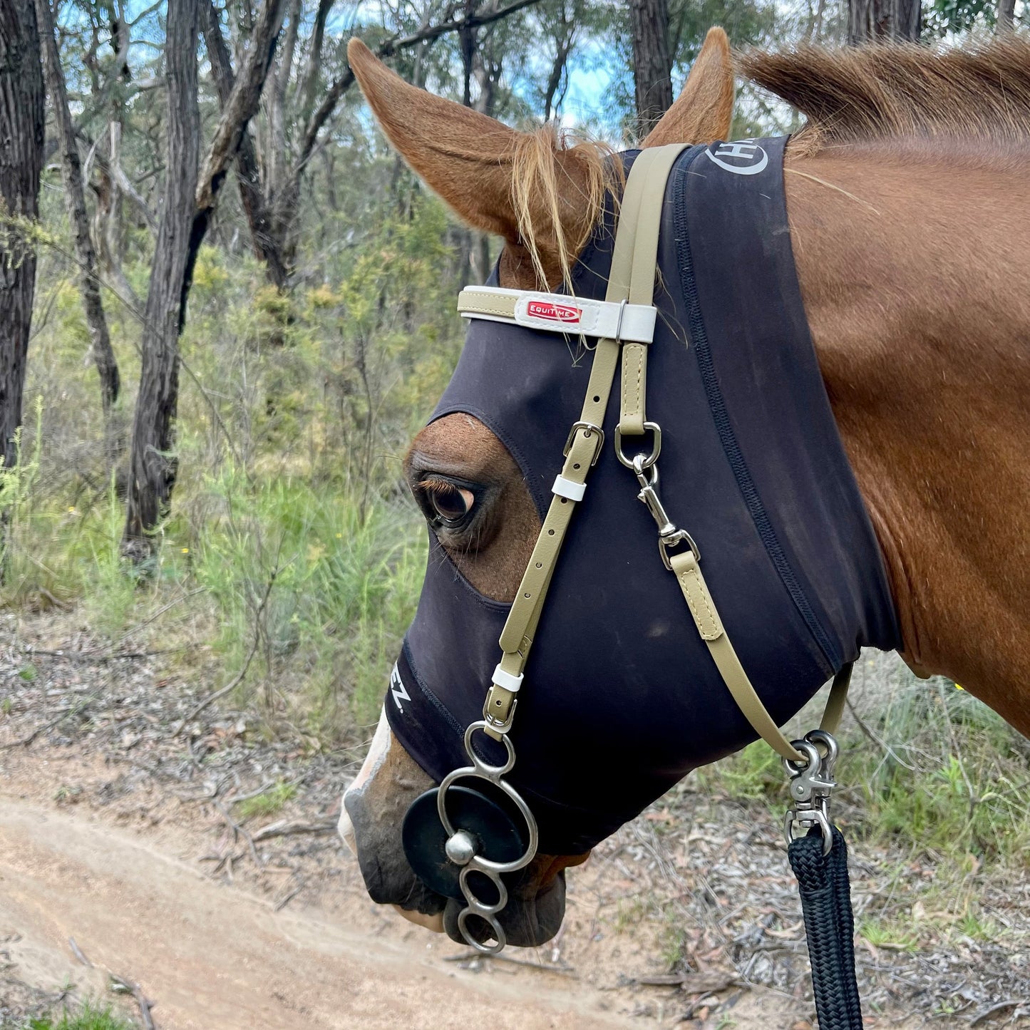 equitime fly endurance bridle - 6