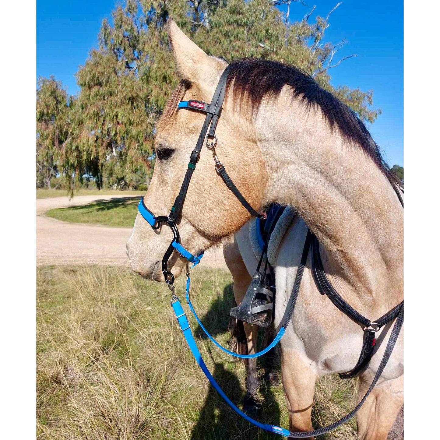 Equitime S Race Horse Hackamore - 7