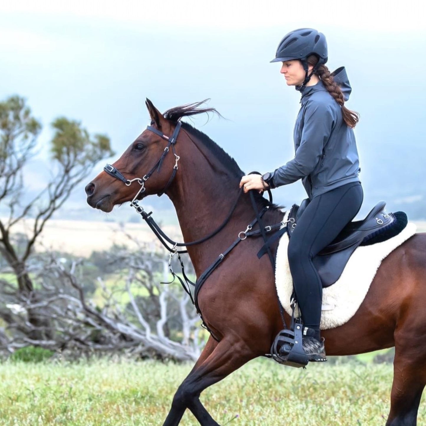 Equitime Fly Endurance Bridle