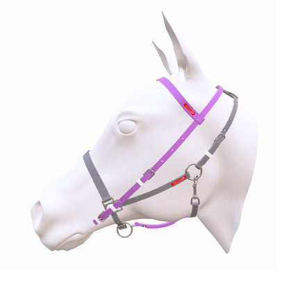 equitime easyslim biothane bridle - 3