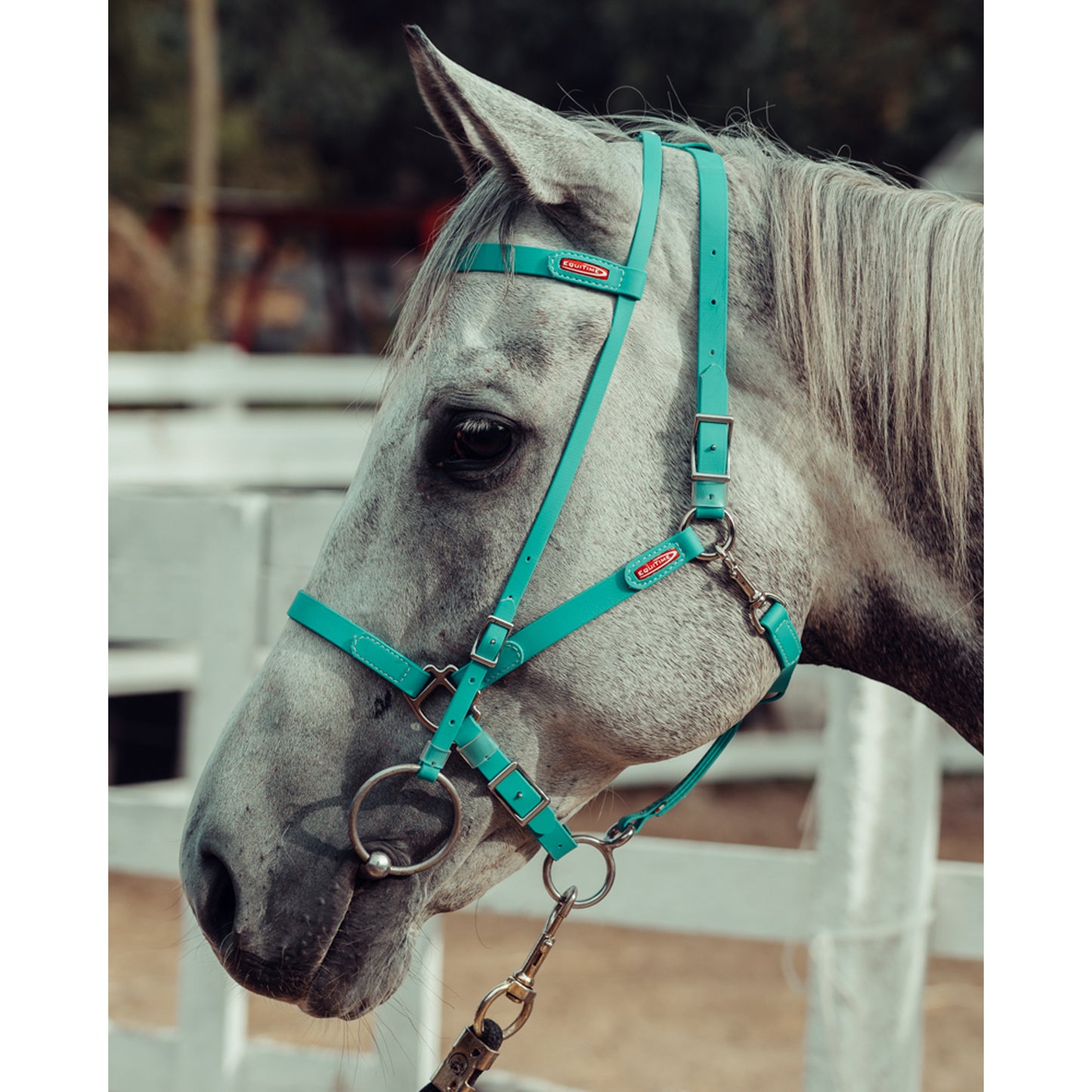 equitime easyslim biothane bridle - 15