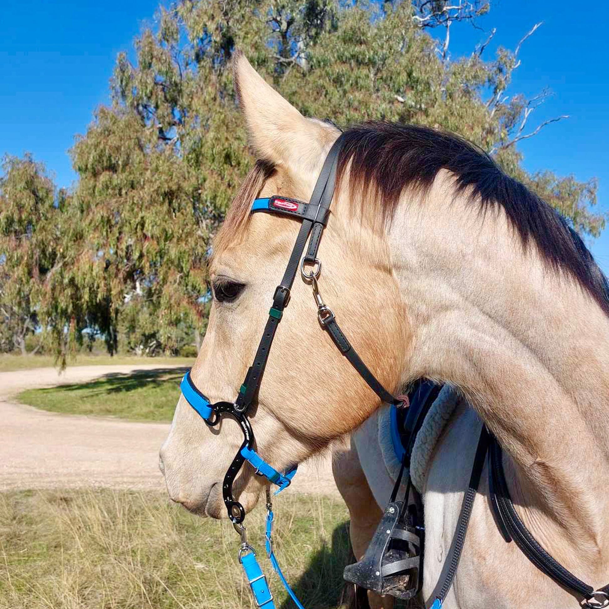 equitime fly endurance bridle - 8