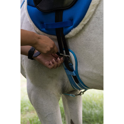 equitime anatomic girth - 3