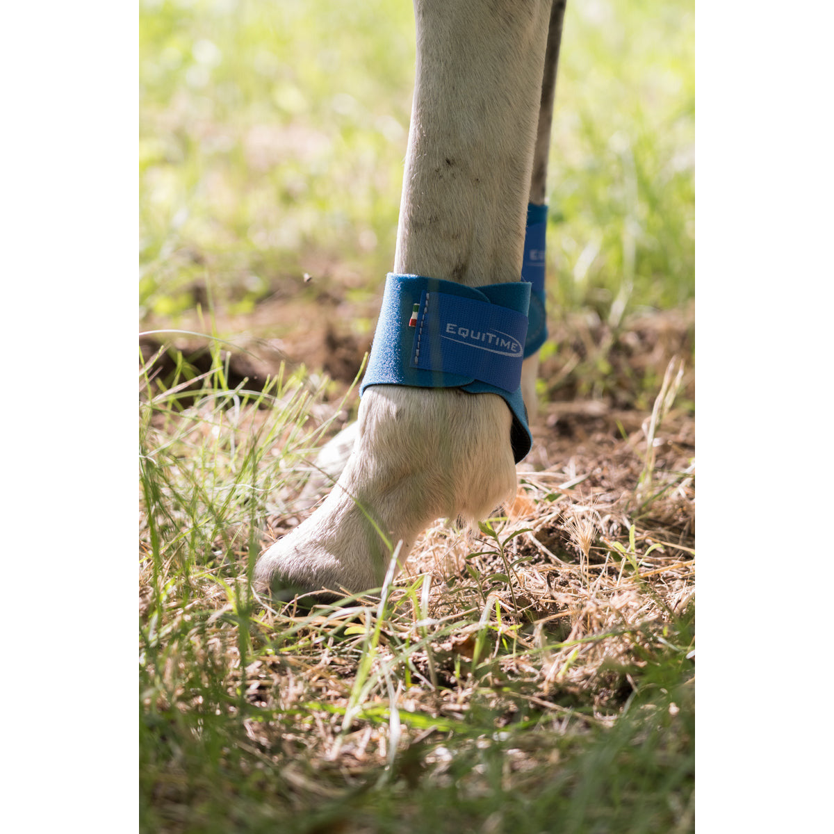 equitime back brushing boots - 3