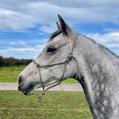 Insync standard 7mm rope halter - 1